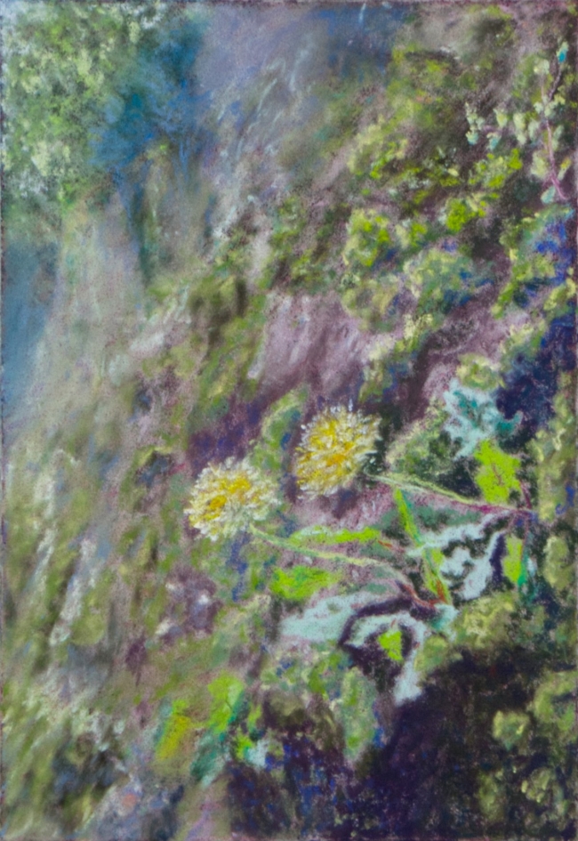 Dandelions&#039; Wall
