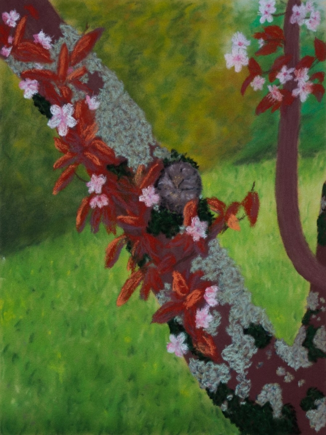 Cherry Tree