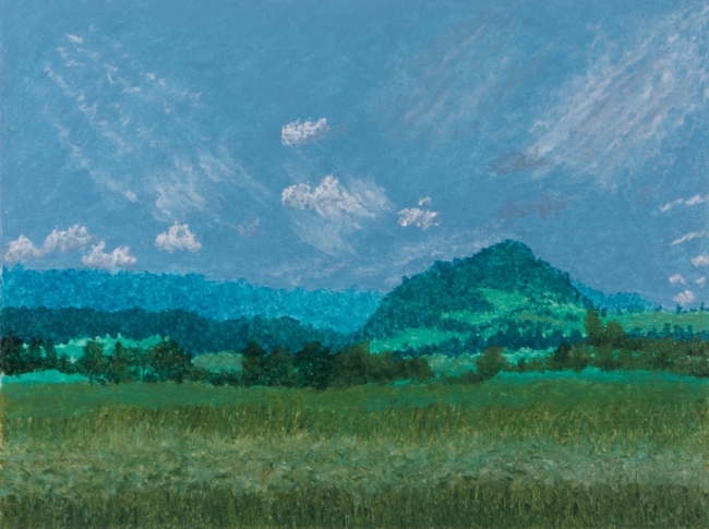 Forests of Marne