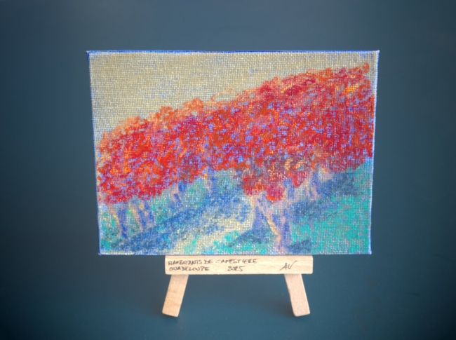 Les Flamboyants de Capestière - Guadeloupe