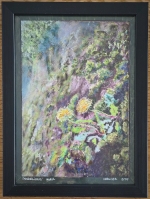 Dandelions&#039; Wall