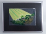Moss